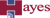 The Hayes Company Logotype