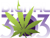 Digital 303 Logotype