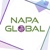 NAPA - IT Services and Consulting Logotype