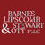 Barnes Lipscomb Stewart PLLC Logotype
