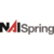 NAI Spring Commercial Real Estate Logotype