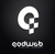 QodWeb Digital Agency Logotype