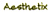 Aesthetix Logotype