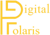 Digital Polaris Logotype