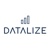 Datalize Ltd Logotype