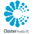 Clúster Puebla TIC Logotype