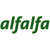 Alfalfa Studio Logotype