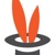 Alice Wonder Web Design Studio Logotype