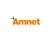 Amnet Systems Private Limited Logotype
