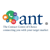 Ant Marketing Logotype