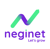 Neginet Logotype