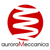 auroraMeccanica Logotype