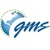 Global Marketing Solutions Logotype