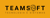 Teamsoft Logotype