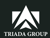 Visión Triada Group Logotype