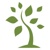 Green Olive Brand Management Logotype