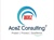 AceZ Consulting & Advisory Logotype