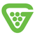 Grapevine MSP Technology Services Logotype