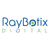 Raybotix Digital Logotype