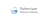 Technoviaan Software Solution Logotype