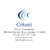 Cetani Corporation Logotype