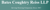 Bates Coughtry Reiss LLP Logotype