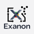 Exanon Analytics Logotype