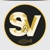 s2vinfotech Logotype
