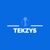 TEKZYS Logotype
