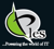 PLES IT Services Limited Logotype