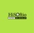 HiSoftio Logotype