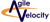 Agile Velocity Logotype
