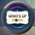 What's Up Doha Logotype