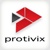 Protivix Business Solutions, LLC Logotype