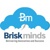 Briskminds Logotype
