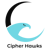 Cipher Hawks Pvt. Ltd. Logotype
