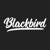 Blackbird Digital Logotype