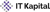 IT Kapital Logotype