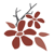 Sand Cherry Logotype