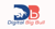 Digital Big Bull Logotype