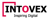 Intovex Consulting Services Logotype