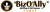 BizOAlly Logotype