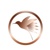 Follow the Hummingbird Consulting, PBC Logotype