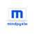 Mindpyxle Technologies LLP Logotype