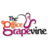 The Office Grapevine Logotype