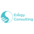 Exegy Consulting Logotype
