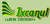 Ixcanul Web Design Logotype