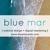 Blue Mar Web Design & Marketing Logotype