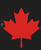 Canada Tax Pros Logotype