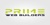 Prime Web Builders Logotype